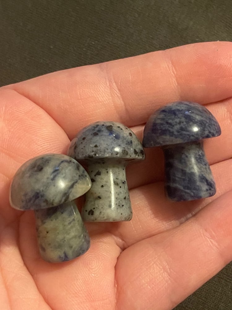 Image of Sodalite mushroom 