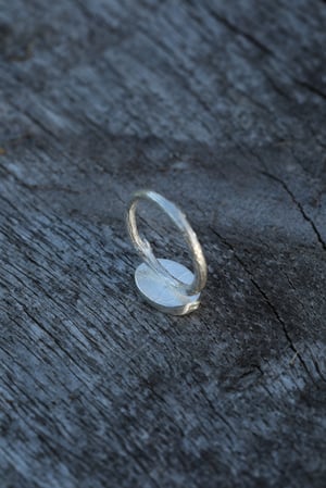 Image of Moss Ring