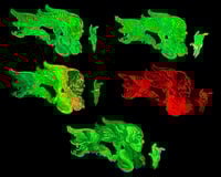 Image 3 of Hermes Pin Set