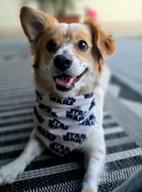 Image 1 of Star Wars Bandana