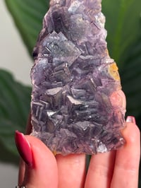 Image 4 of NATURAL RAINBOW IRIDESCENT CUBIC FLUORITE -CHINA- R