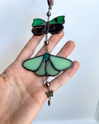 Image 4 of Butterfly Swarm 