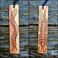 Image 2 of Centipede/Millipede Cedar Bookmark