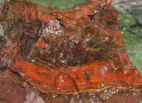 Image 2 of Colorado banded Jasper extra large Specimen