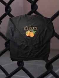 Citrus 🍊✨