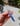 carbon paring knife v2