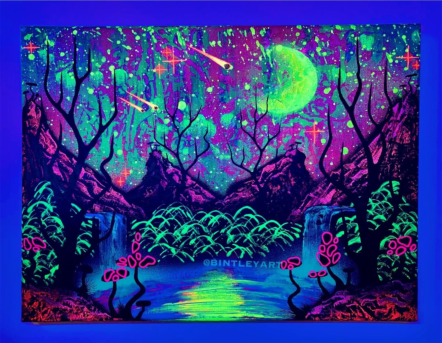 Image of 👽 BOREALIS SKY 👽