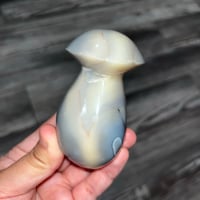 Image 4 of Orca Agate Mushroom E