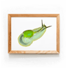 Puerto Rican Semi-Slug | Art Print