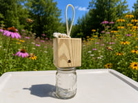 Image 2 of Woodbee Trap
