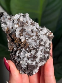 Image 2 of SUGAR DRUZY CHALCEDONY X MANGANESE WITH MINI DOUBLE TERMINATED CALCITES -MOROCCO- N