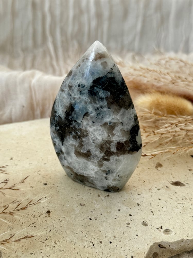 Image of Rainbow Moonstone Teardrop 