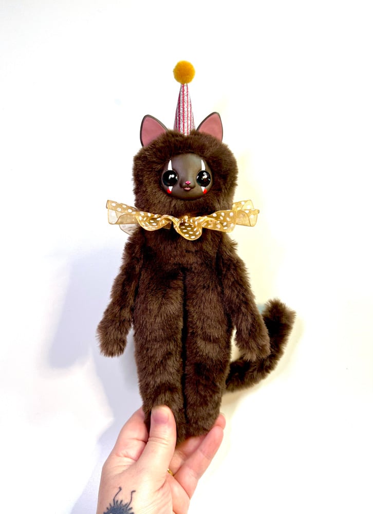 Clown Cat (chocolate) Image 2