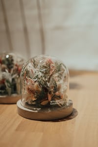 Flower cloche / tender edition