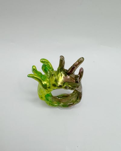 Image of green sea urchin ring