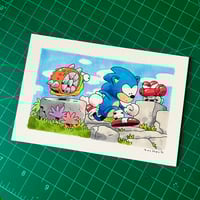 Image 2 of hedgehog