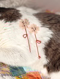 Image 2 of Daisy Pink salt 