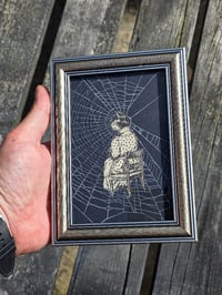 Image 2 of Cat Collection - Cat engravings with real preserved web- P