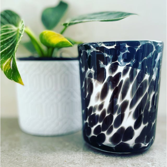 Extra Large Vogue Texas Cheetah Jar - 1kg  **0 IN STOCK**