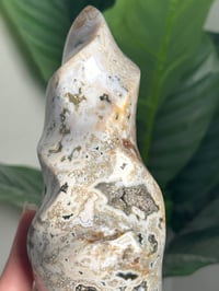 Image 4 of ORBICULAR SEA JASPER FLAME -MADAGASCAR-