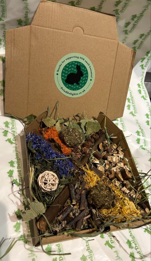 Image of Small enrichment forage and enrichment pizza box (FAKEAWAY RANGE)