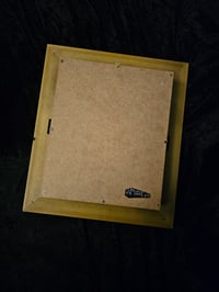 Image 9 of  Orbweaver taxidermy spider with 1800 Bible Page & Real Web