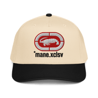Image 3 of Crawfish Cap