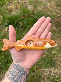 Image 2 of Brown Trout 2.0