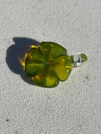 green transparent clover