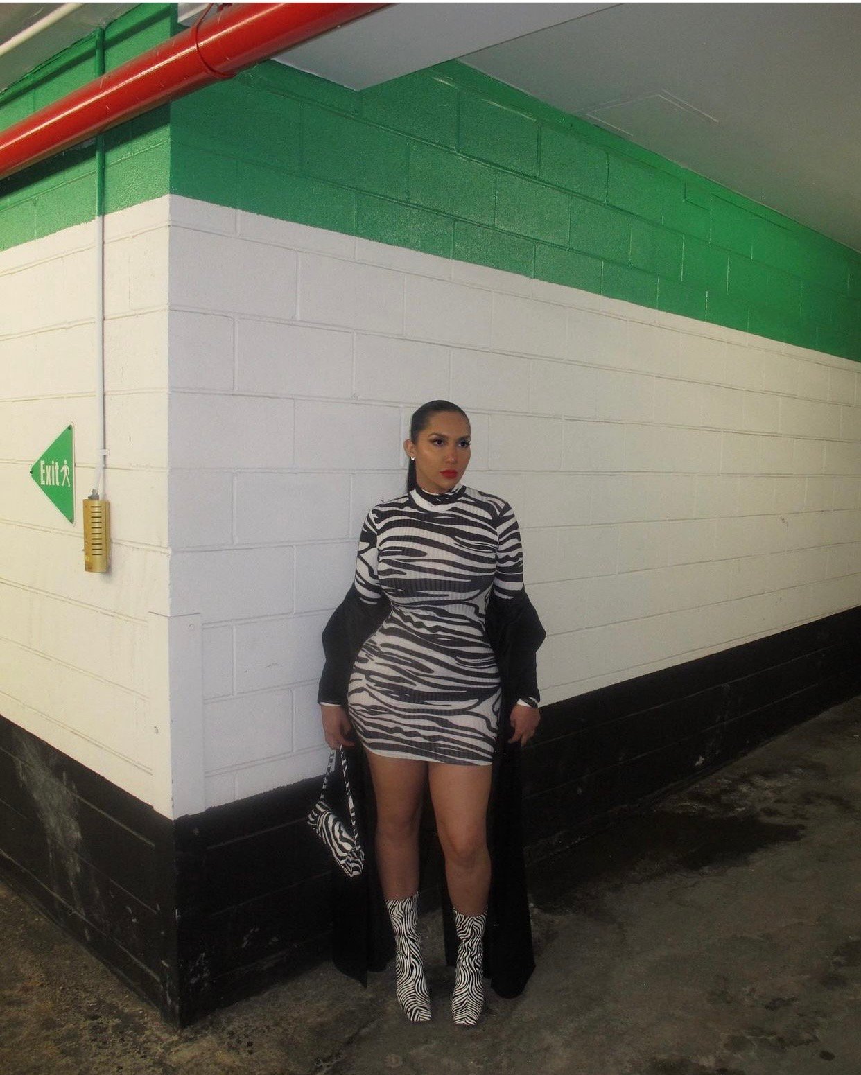 Image of ZEBRA PRINT TURTLENECK MINI DRESS (USA SIZE 8)