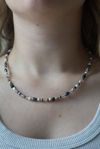 Image 4 of Dalmatian 