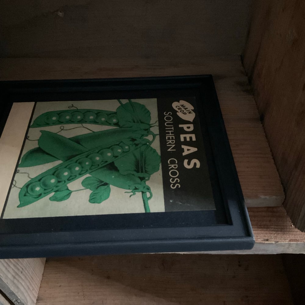 Image of Peas no.2