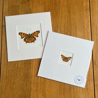 Comma Butterfly Giclee Print