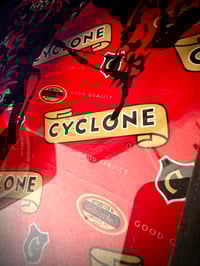Image 2 of “She Rode Fast and Charged Hard, so He Named Her Cyclone.”