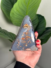 Image 3 of MOZAMBIQUE AGATE FREEFORM #11