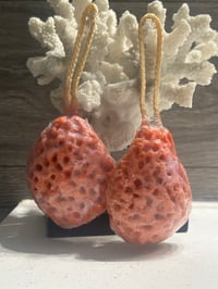 Image 1 of Soap infuse sponges 