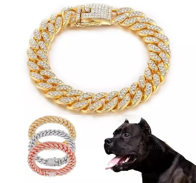 Luxury Dog Collar Chain Chloe’s Pet Co