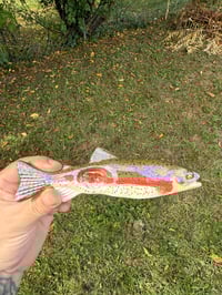 Image 2 of Pre order Rainbow Trout 2.0