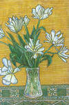 April Tulips 