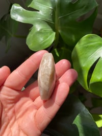 Image 7 of Moonstone Palm Crystal (3)
