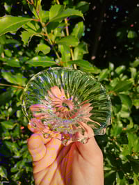 Image 1 of Medium Scalloped Dish #1