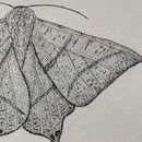 Image 2 of £50 originals - Swallowtail moth, pointillism