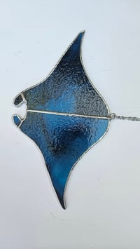 Image 3 of Sting ray 2