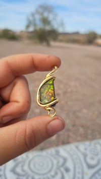 Image 1 of Dragon Scale Ammolite in Brass 1