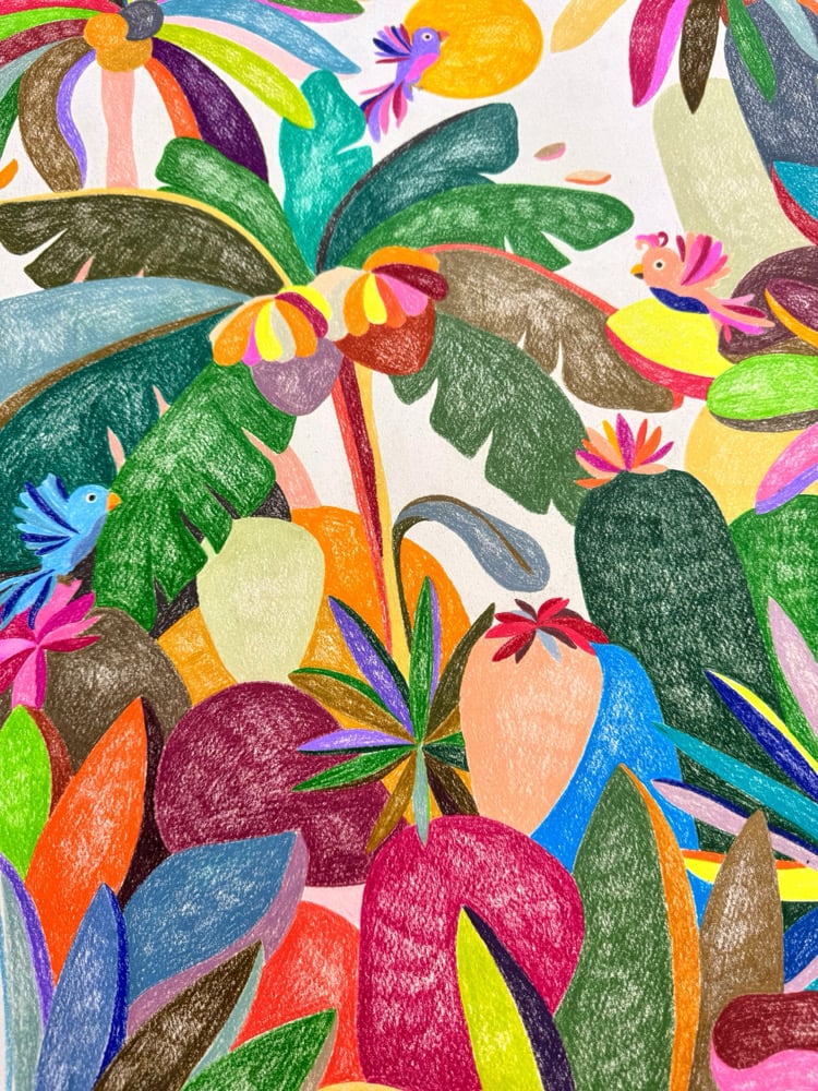 Image of Les oiseaux annoncent des miracles