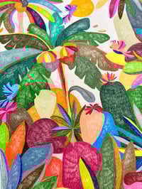 Image 3 of Les oiseaux annoncent des miracles