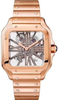 Image 1 of Santos Skeleton