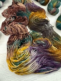 Image 5 of Autumn Spruce