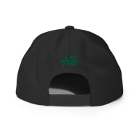 Image 4 of LOWER AZ Arizona Land Back Snapback Hat