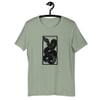 New colors snake